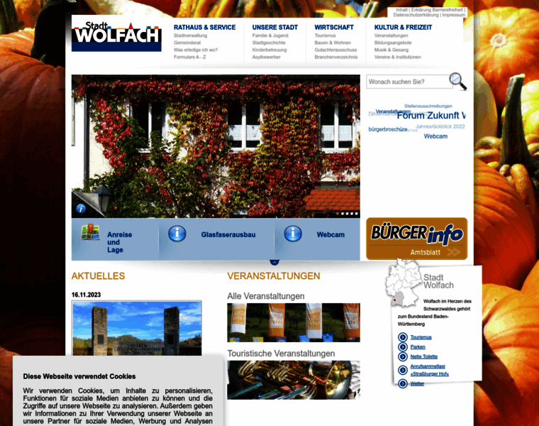 Wolfach.de thumbnail