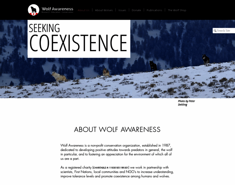 Wolfawareness.org thumbnail