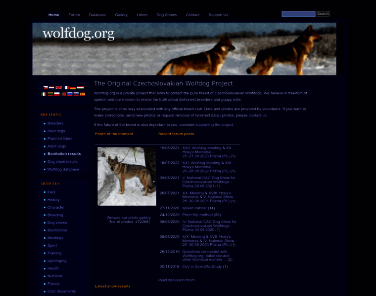 Wolfdog.org thumbnail