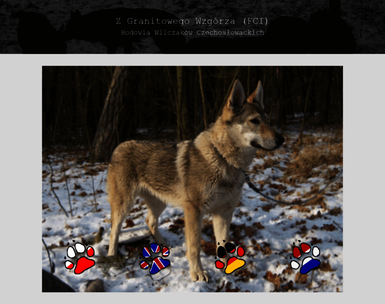 Wolfdogs.pl thumbnail