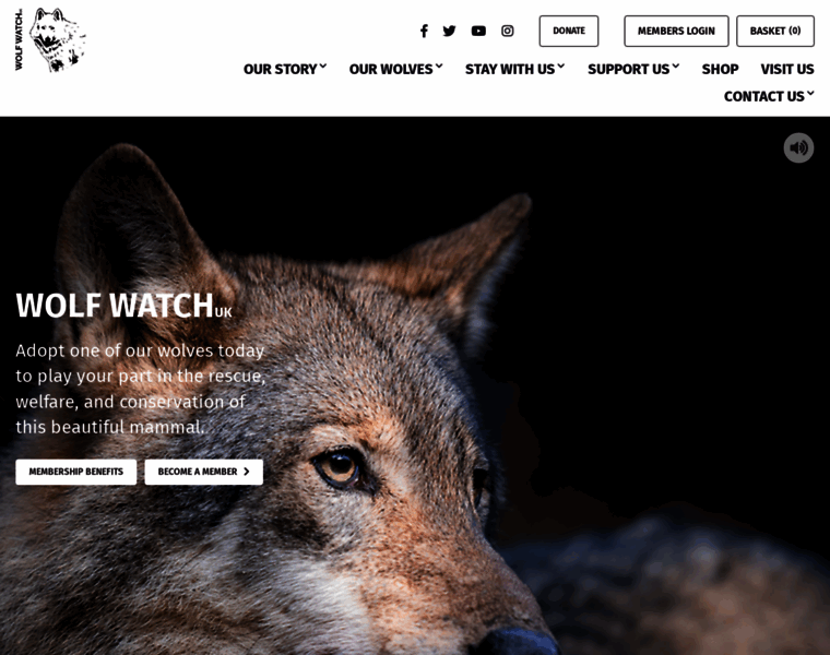 Wolfwatch.uk thumbnail
