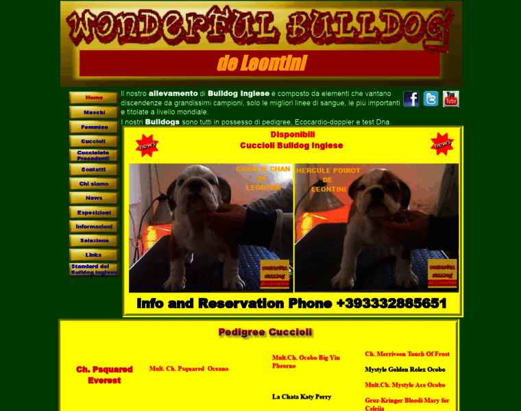 Wonderfulbulldog.com thumbnail