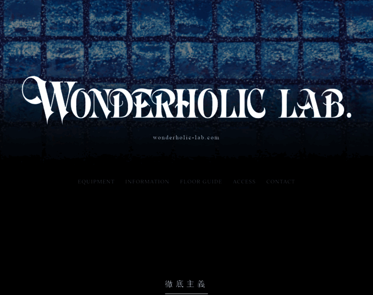 Wonderholic-lab.com thumbnail