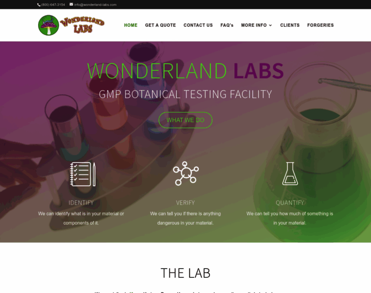 Wonderland-labs.com thumbnail
