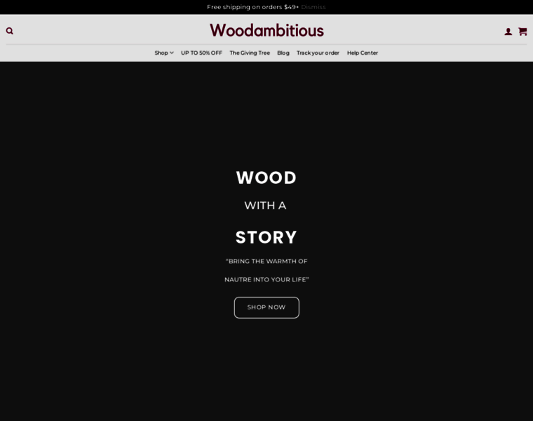 Woodambitious.com thumbnail