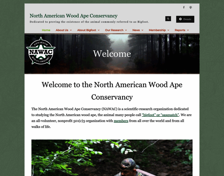 Woodape.org thumbnail