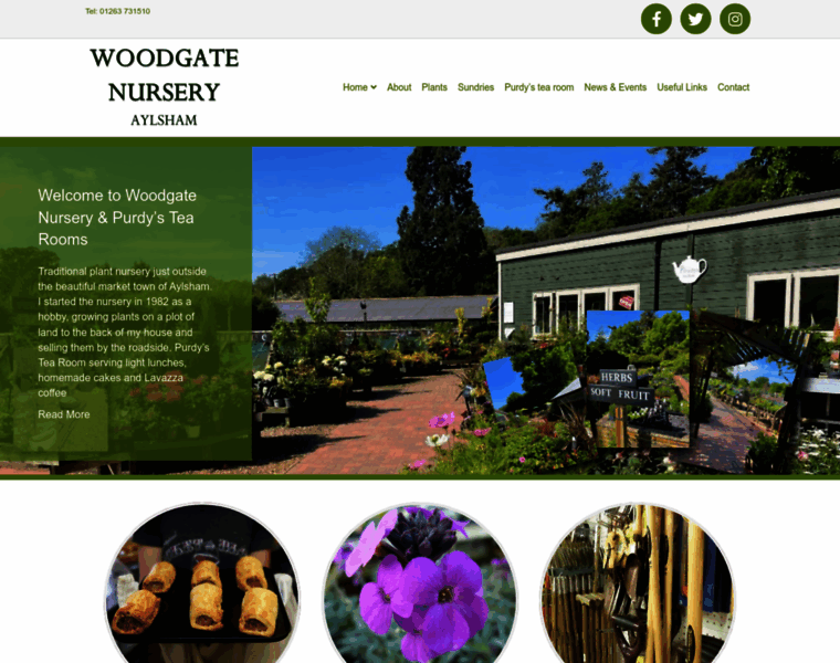 Woodgatenursery.co.uk thumbnail