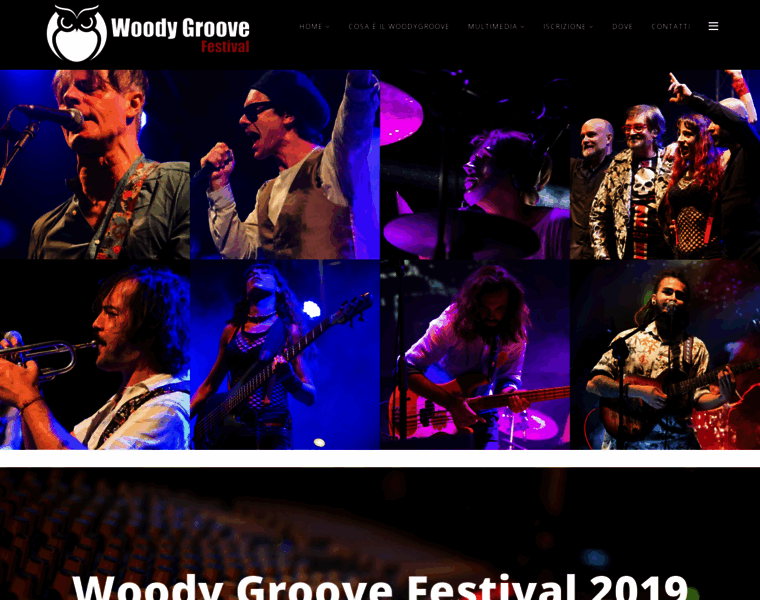 Woodygroovefestival.com thumbnail