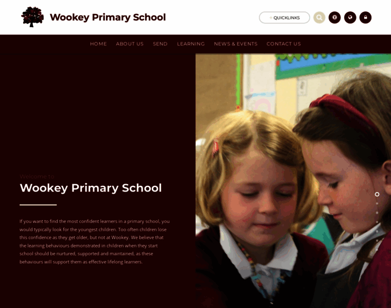 Wookeyprimaryschool.co.uk thumbnail