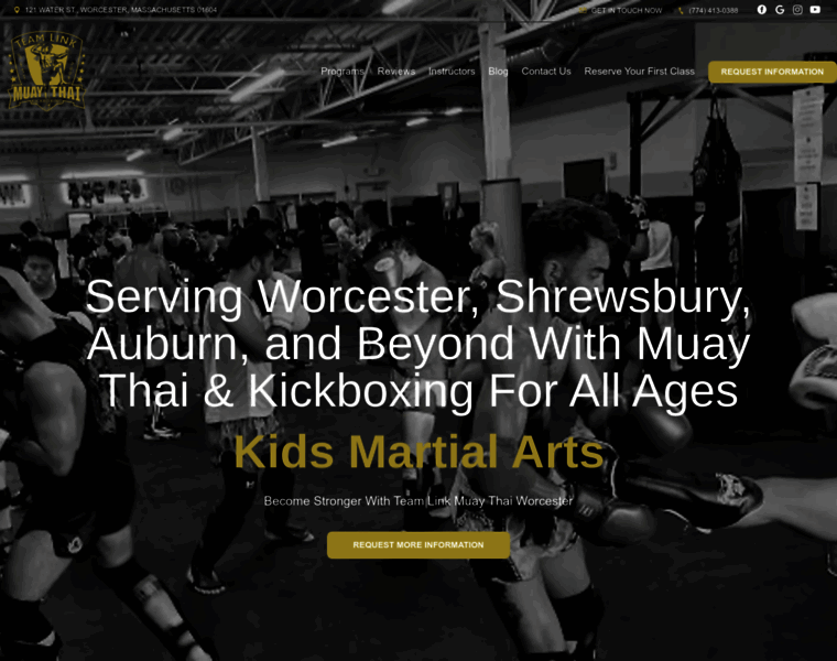 Worcester-kickboxing.com thumbnail