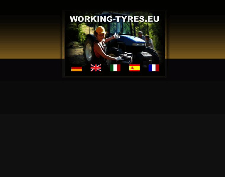 Working-tyres.eu thumbnail