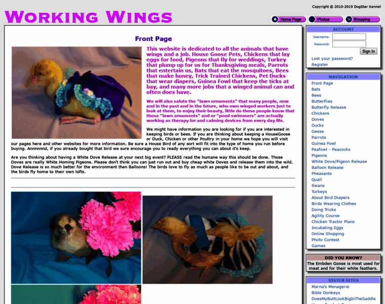 Workingwings.com thumbnail