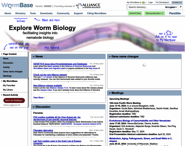 Wormbase.org thumbnail