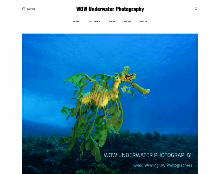 Wowunderwaterphotography.com thumbnail