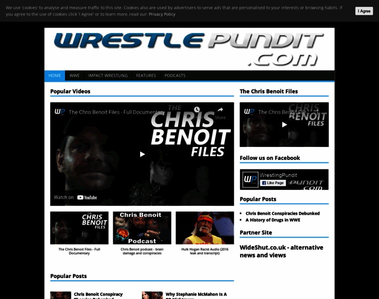 Wrestlingpundit.com thumbnail