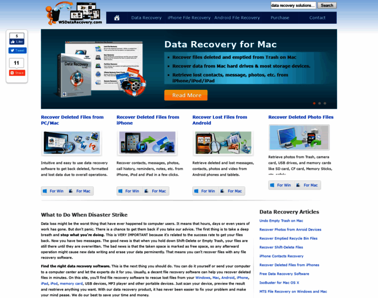 Wsdatarecovery.com thumbnail