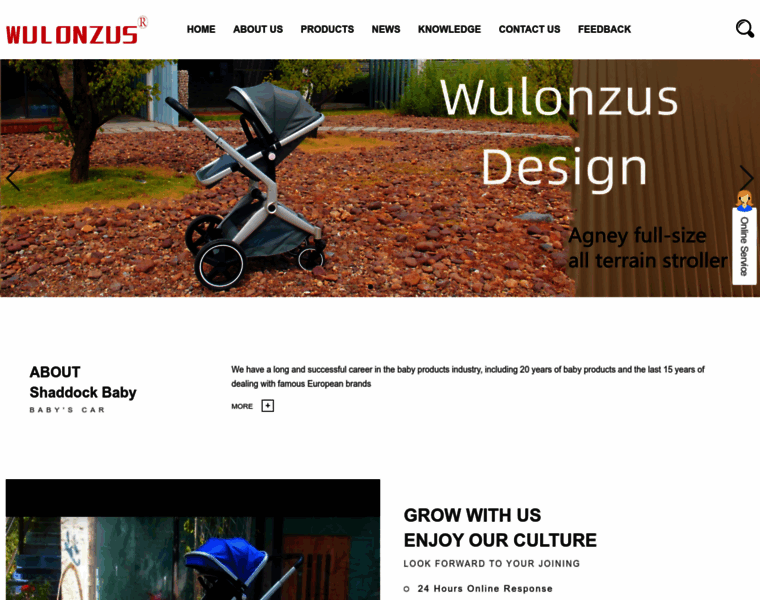 Wulonzus-baby.com thumbnail