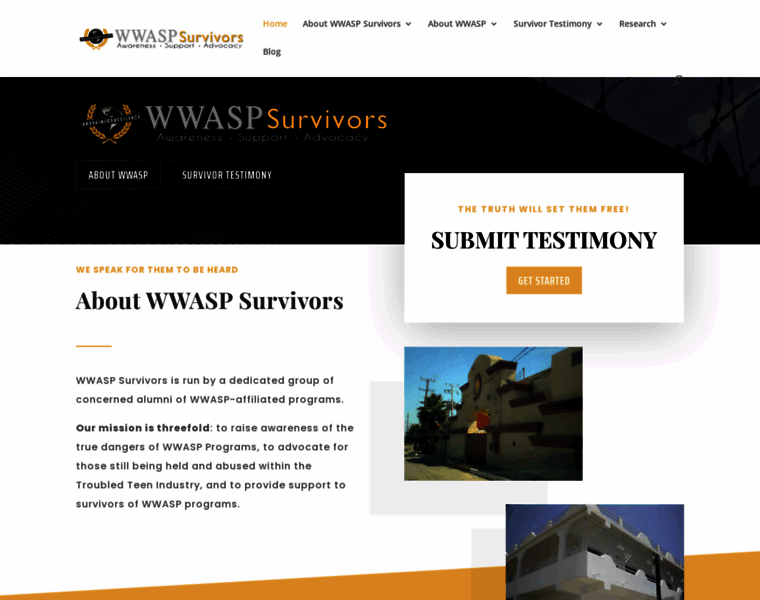 Wwaspsurvivors.com thumbnail