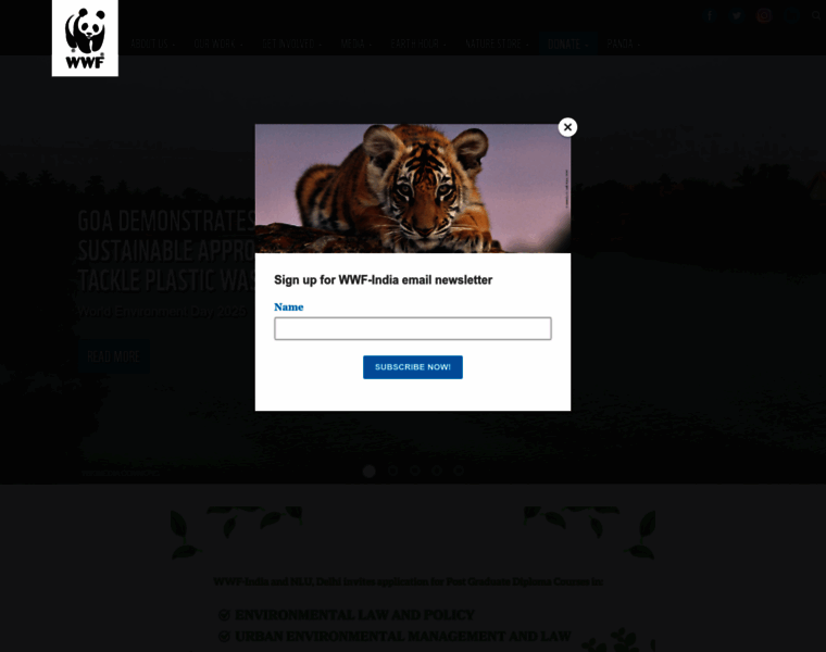 Wwfindia.org thumbnail Wwfindia.org thumbnail