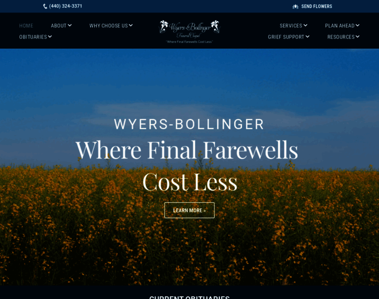 Wyers-bollinger.com thumbnail