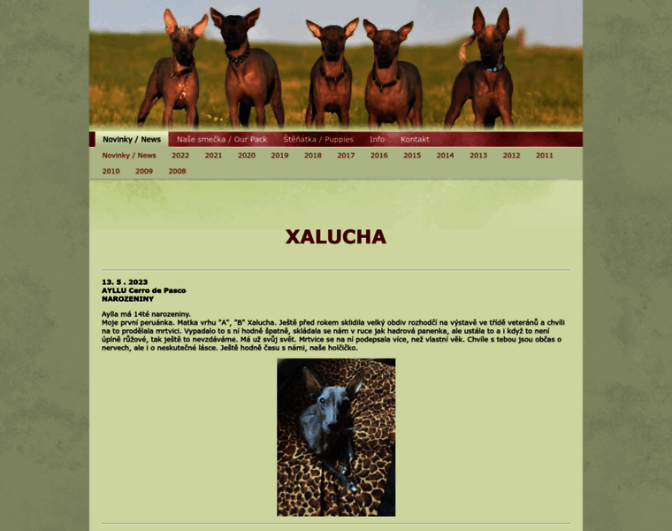 Xalucha.cz thumbnail