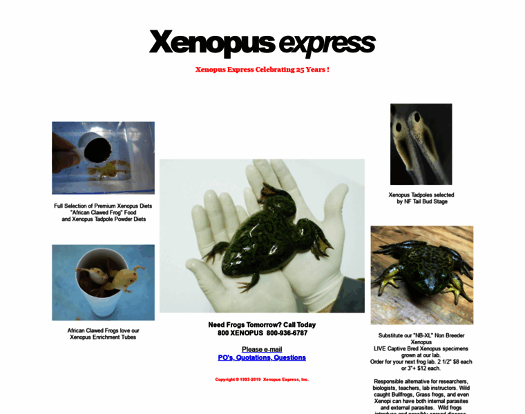 Xenopus.com thumbnail