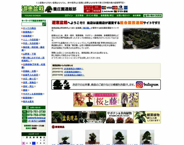 Y-bonsai.co.jp thumbnail