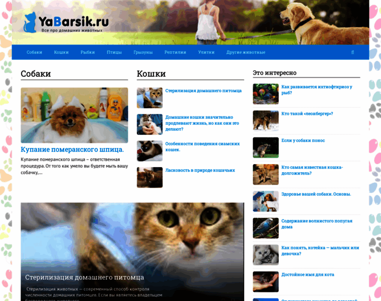 Yabarsik.ru thumbnail