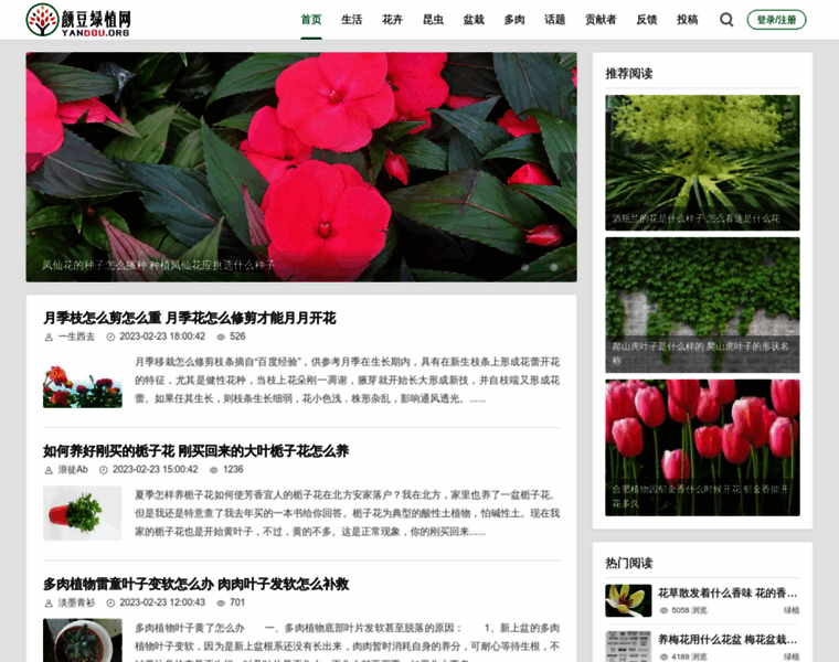 Yandou.org thumbnail