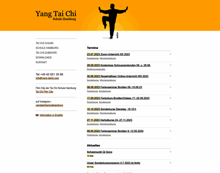 Yang-taichi.com thumbnail