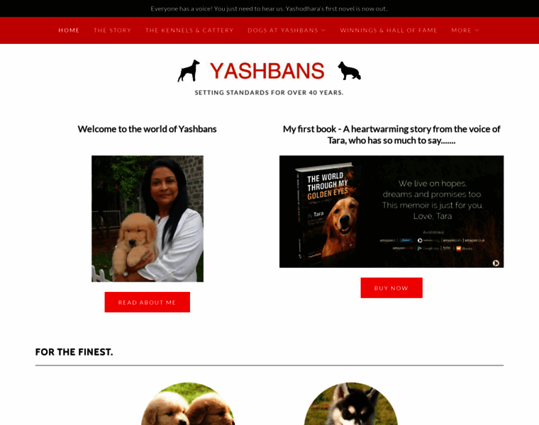 Yashbans.in thumbnail