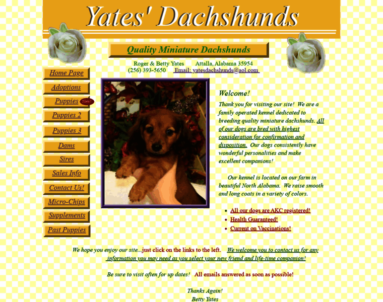 Yatesdachshunds.com thumbnail