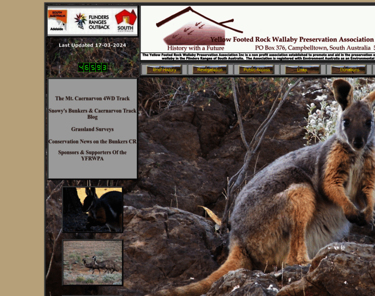 Yellowfoot.org thumbnail Yellowfoot.org thumbnail