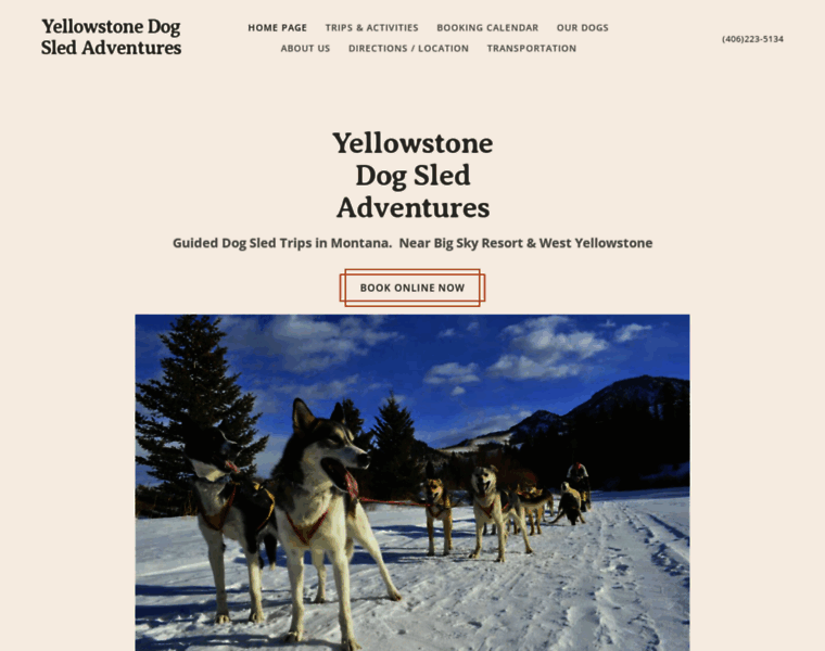 Yellowstonedogsledadventures.com thumbnail
