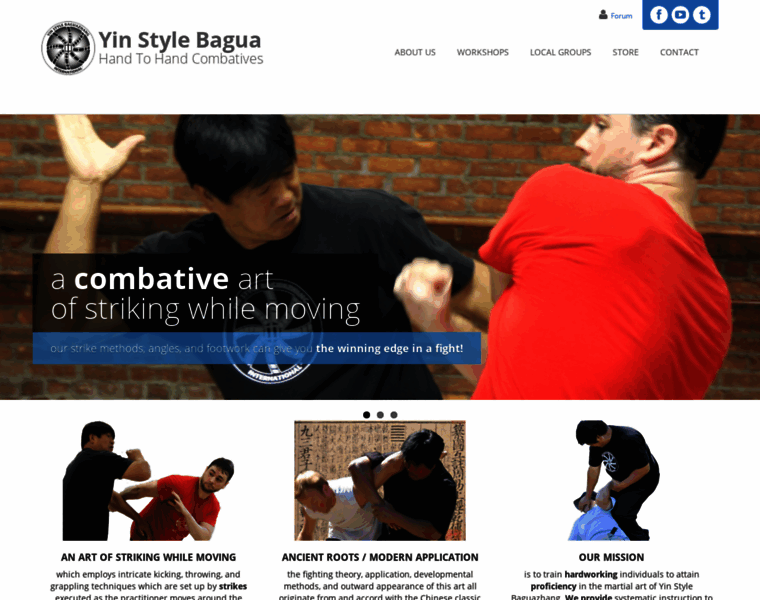 Yinstylebaguazhang.com thumbnail