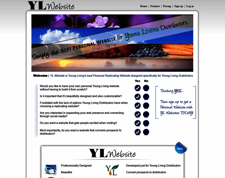 Ylwebsite.com thumbnail