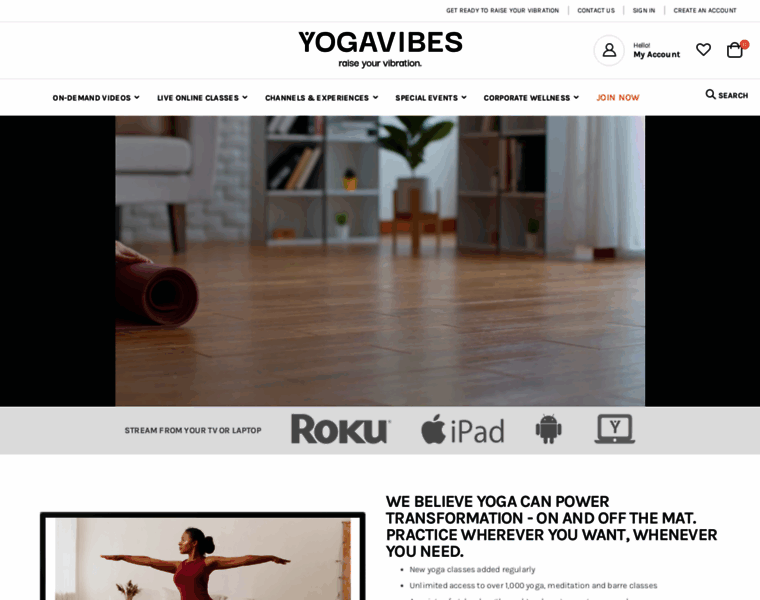 Yogavibes.com thumbnail