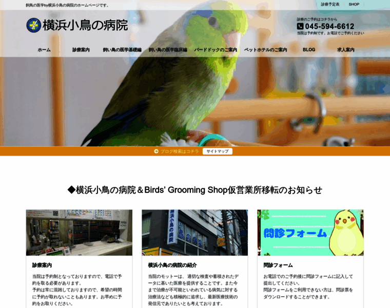 Yokohamabirdclinic.jp thumbnail