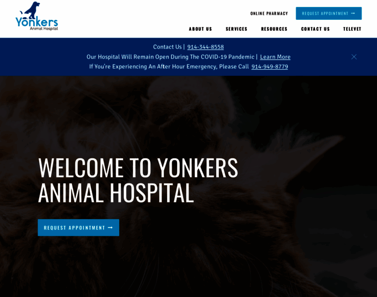 Yonkersanimalhospital.com thumbnail