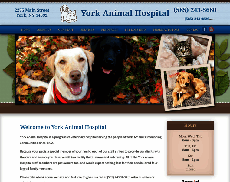Yorkanimalhospital.com thumbnail