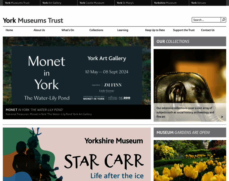 Yorkmuseumstrust.org.uk thumbnail