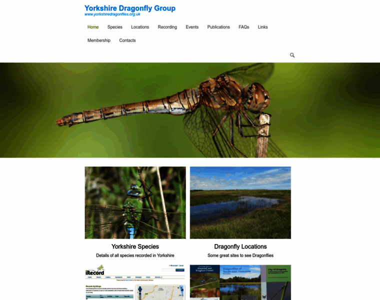 Yorkshiredragonflies.org.uk thumbnail