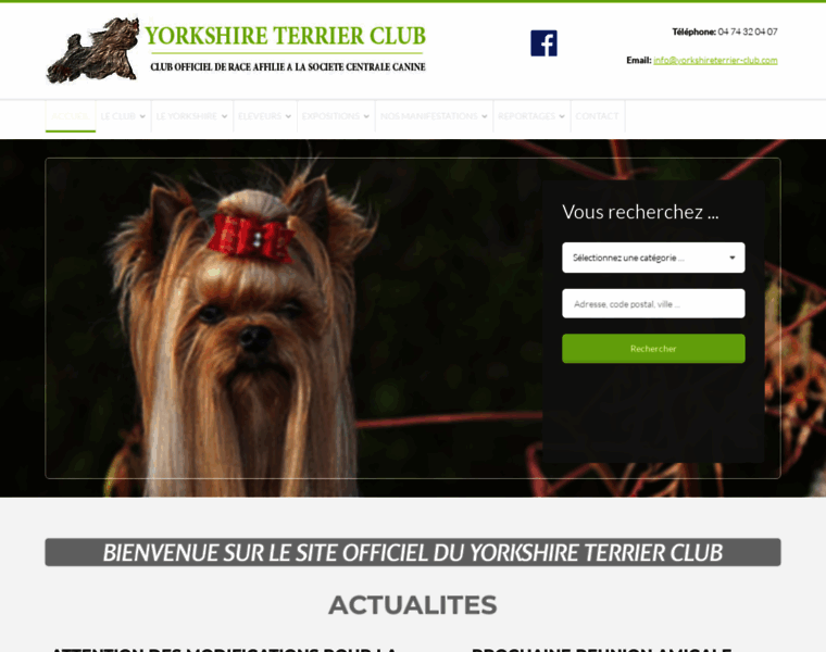 Yorkshireterrier-club.com thumbnail