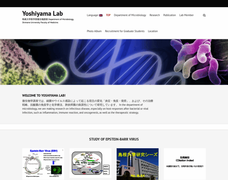 Yoshiyama-lab.org thumbnail