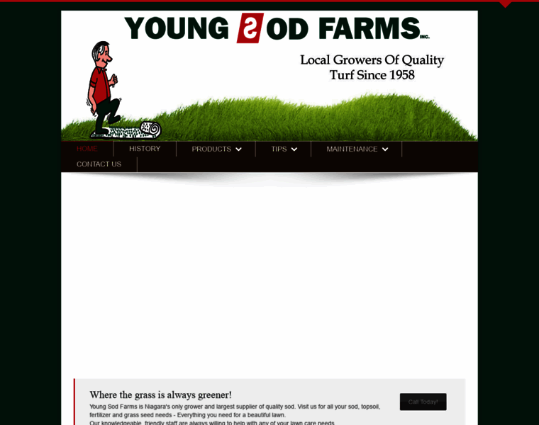 Youngsodfarms.com thumbnail