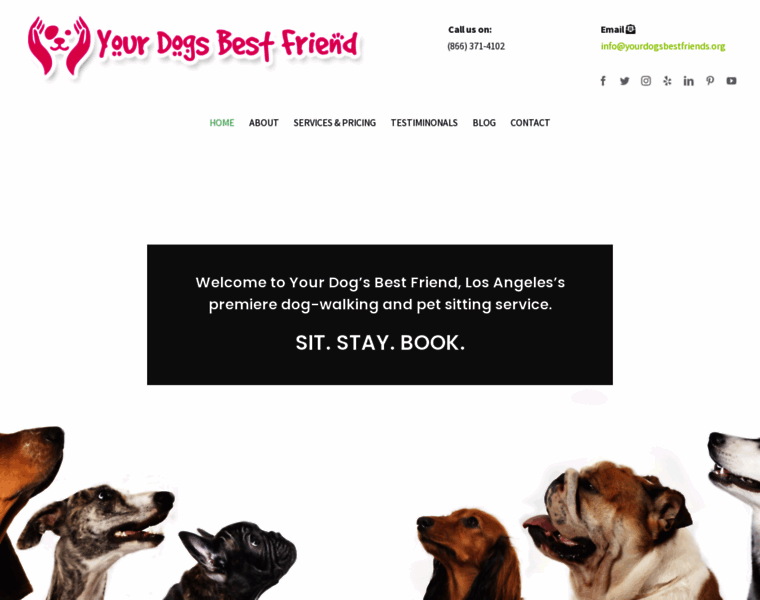 Yourdogsbestfriend.org thumbnail