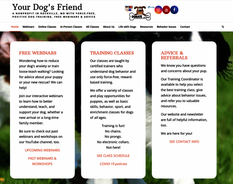 Yourdogsfriend.org thumbnail