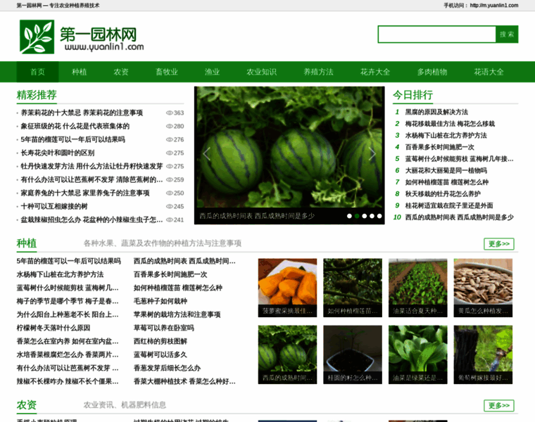 Yuanlin1.com thumbnail