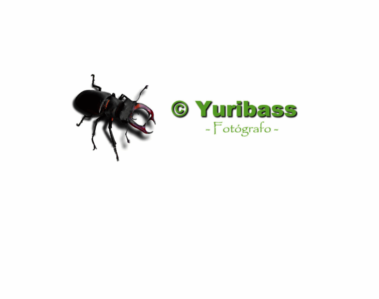Yuribass.com thumbnail