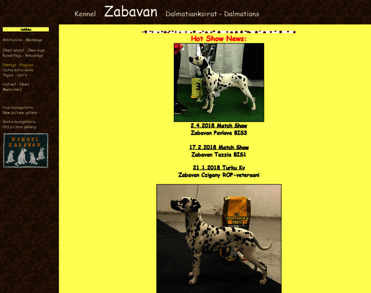 Zabavan.net thumbnail